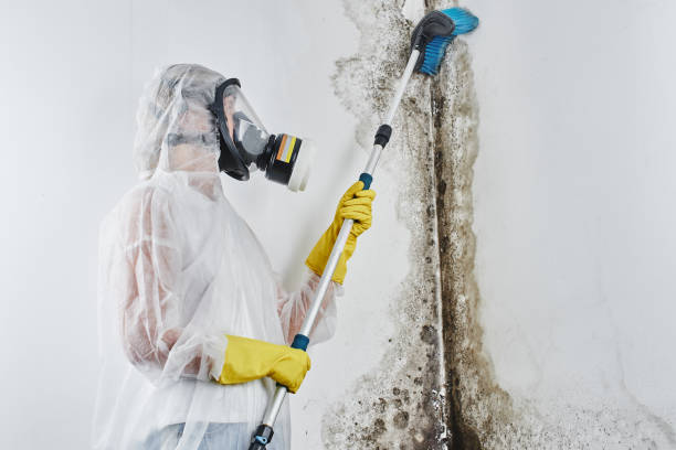 Water Damage Restoration in Loudon, TN